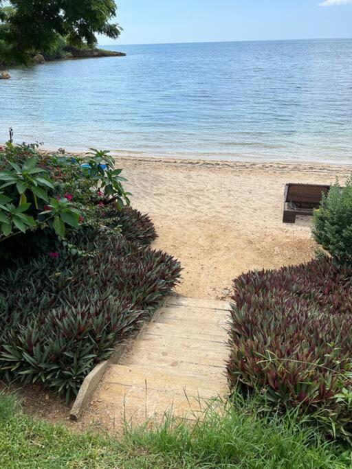 Ivy'S Cove Beach Side Condo - Luxury Villa Whitehouse Exterior photo